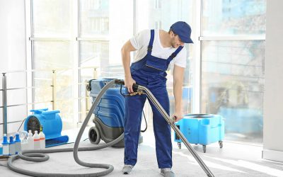 Essential Carpet Cleaning Tips for Allergy Relief: Create a Healthier Home