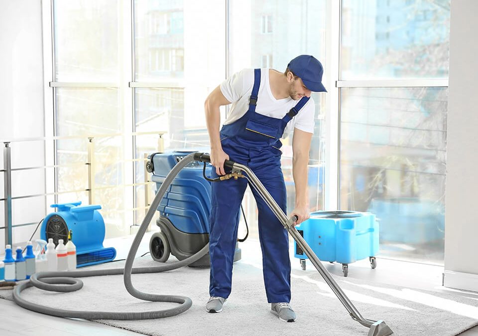 Essential Carpet Cleaning Tips for Allergy Relief: Create a Healthier Home