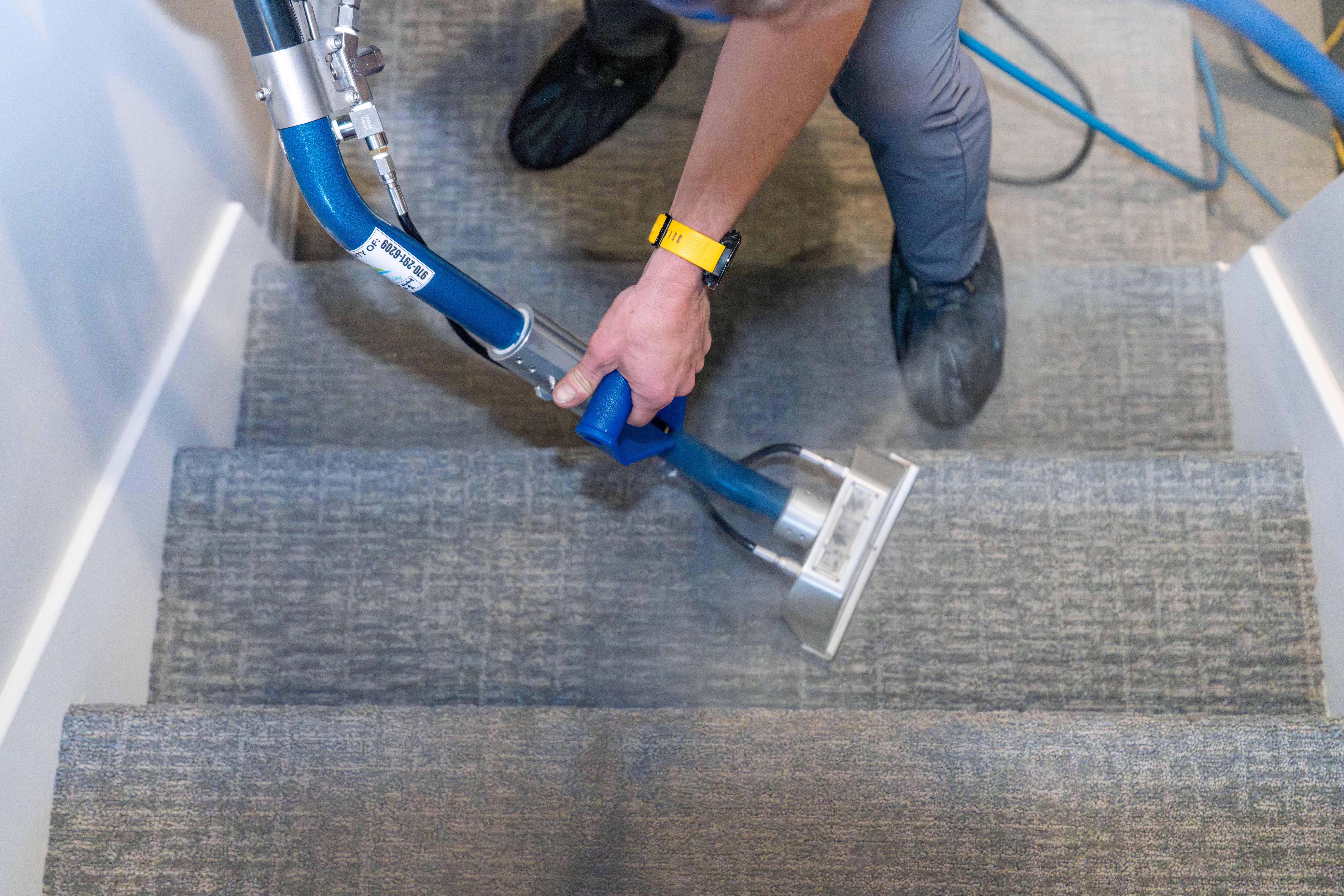 Premium Carpet Cleaning Solutions