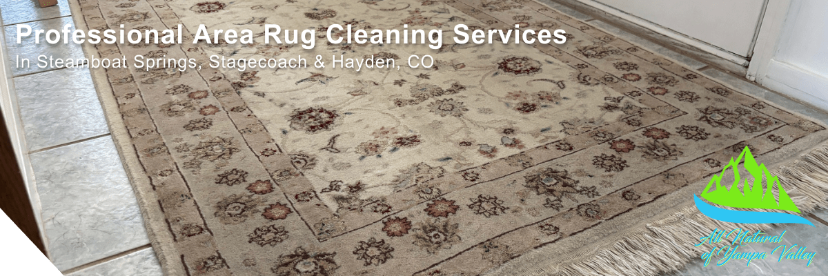 Professional Area Rug Cleaning Services