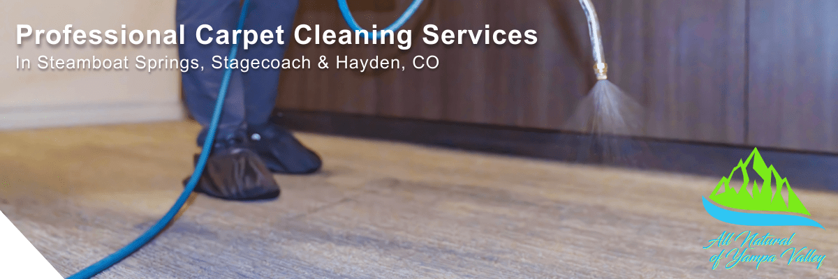 carpet-cleaning-banner