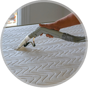 Mattress Cleaning Service Icon