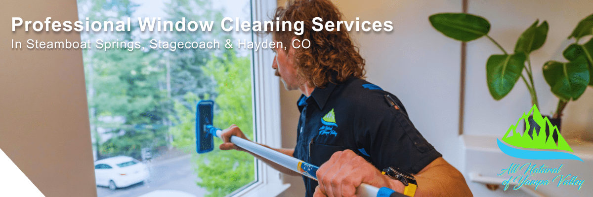 window-cleaning-banner